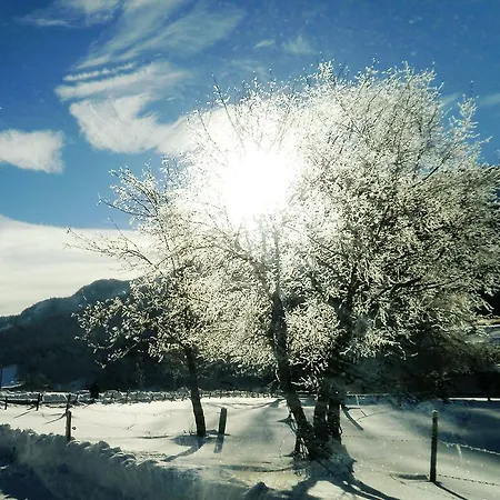 Apartamento Essbaum Walchsee