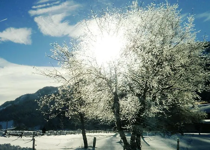 Appartement Essbaum Walchsee